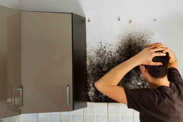 Is Black Mold Dangerous DRYER VENT AIR DUCT CLEANING IN OTTAWA   1 