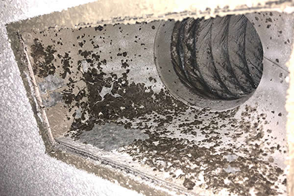 Air Duct Contamination