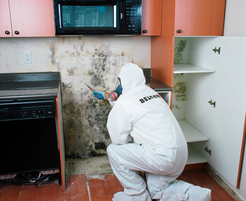 Kitchen Mold Removal in Ottawa