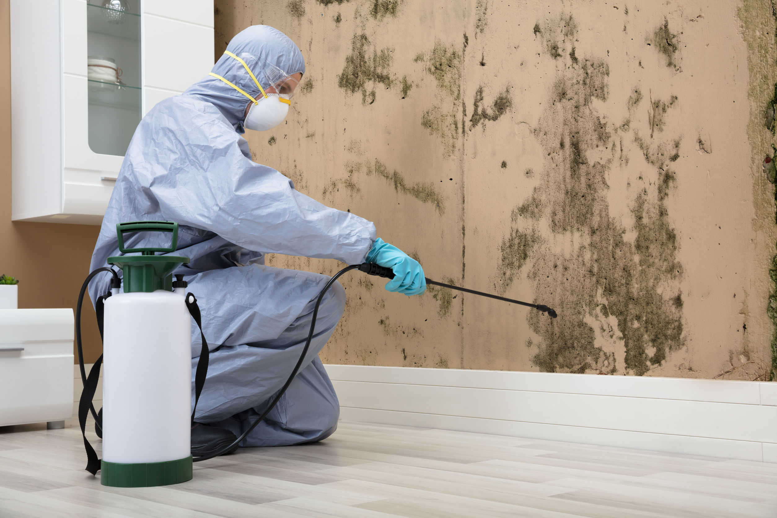 Mold Regulations and Remediation Standards