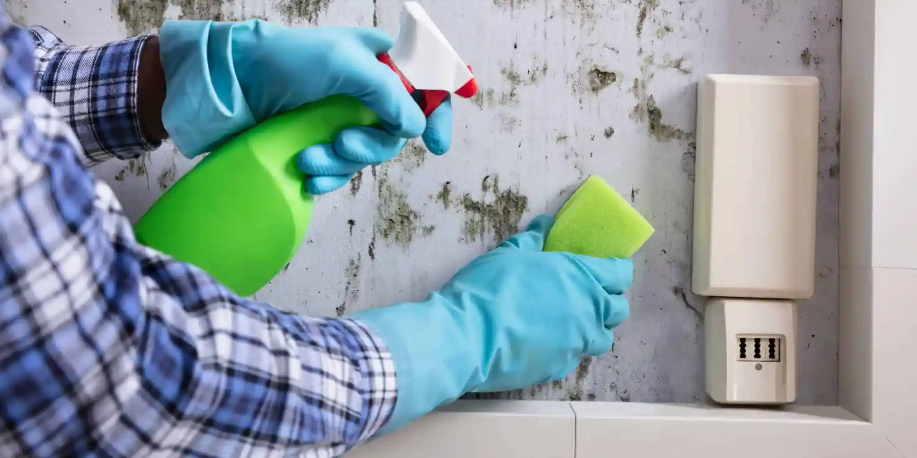 Absorb excess moisture to prevent mold growth