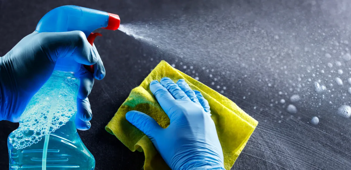 Types of home sanitization services