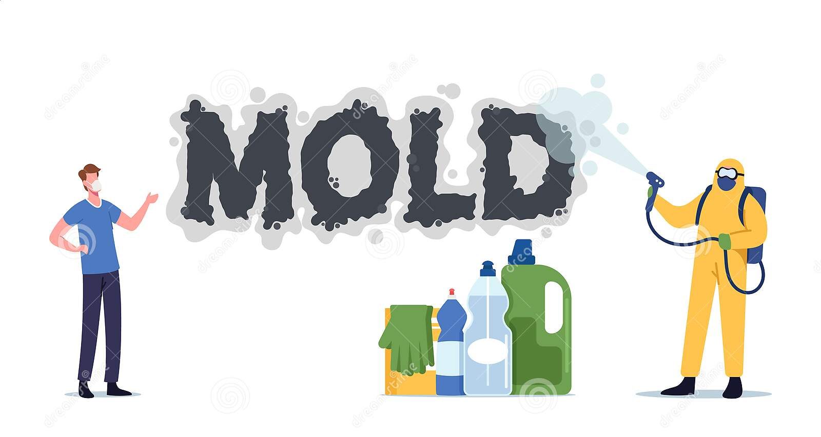 Mold Cleaning Process