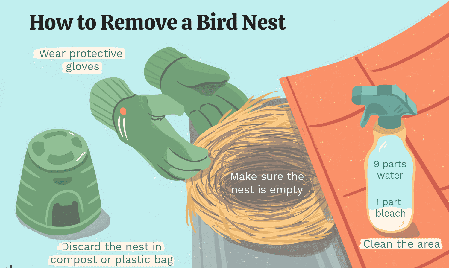 Create Birds Nesting Plan