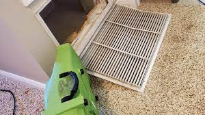 air duct cleaning: musty odors