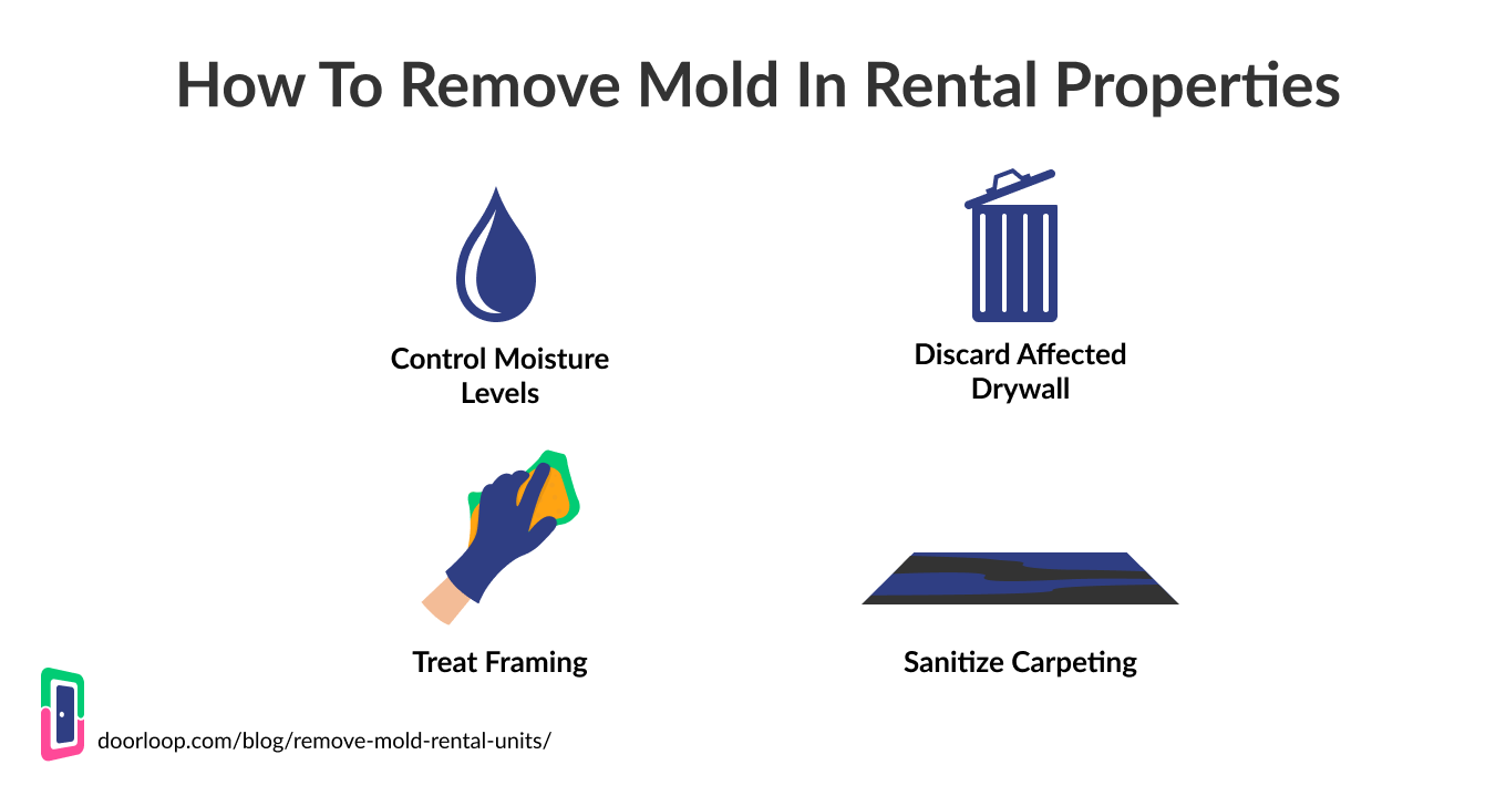 Mold Cleaning in Rental Properties