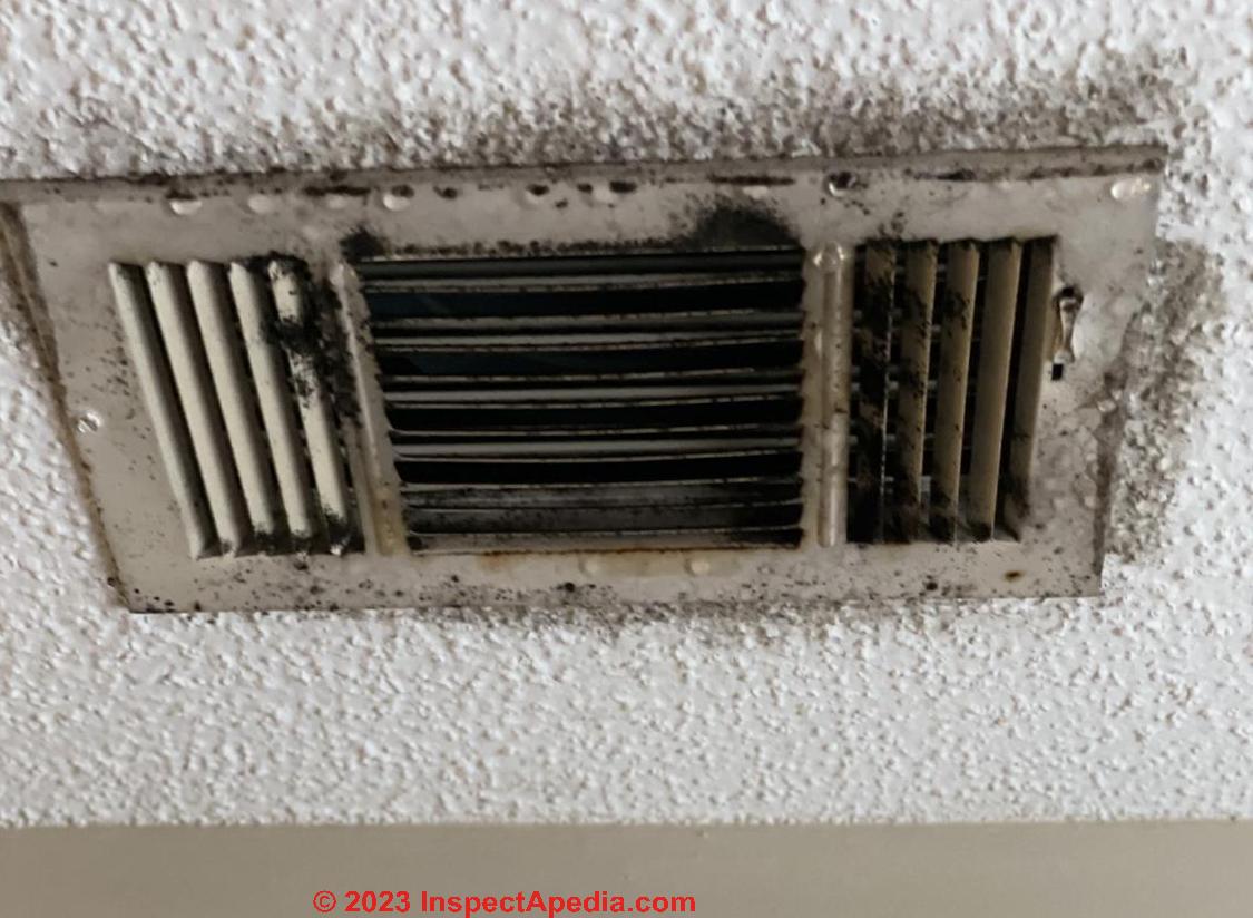 he Role of Mold and Dust in Air Duct