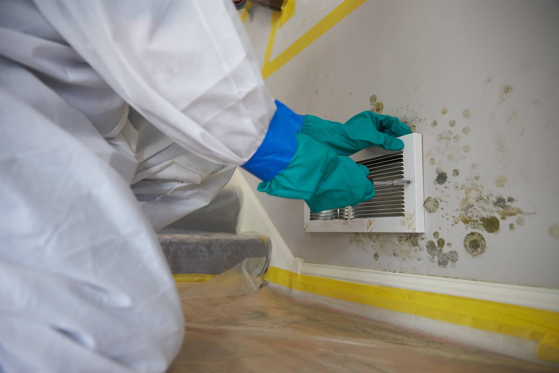 Mold Cleaning and Structural Integrity