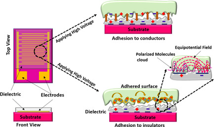 A Sticky Solution for Dust: Electroadhesive Rollers