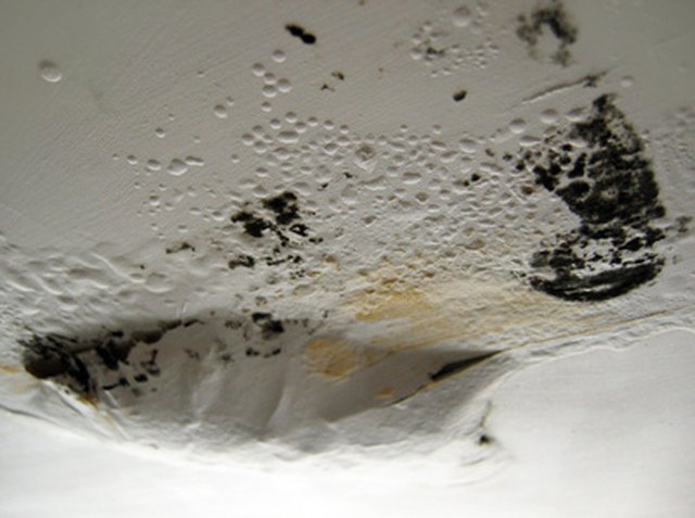 Finding and Sealing Leaks During Dryer Vent Cleaning