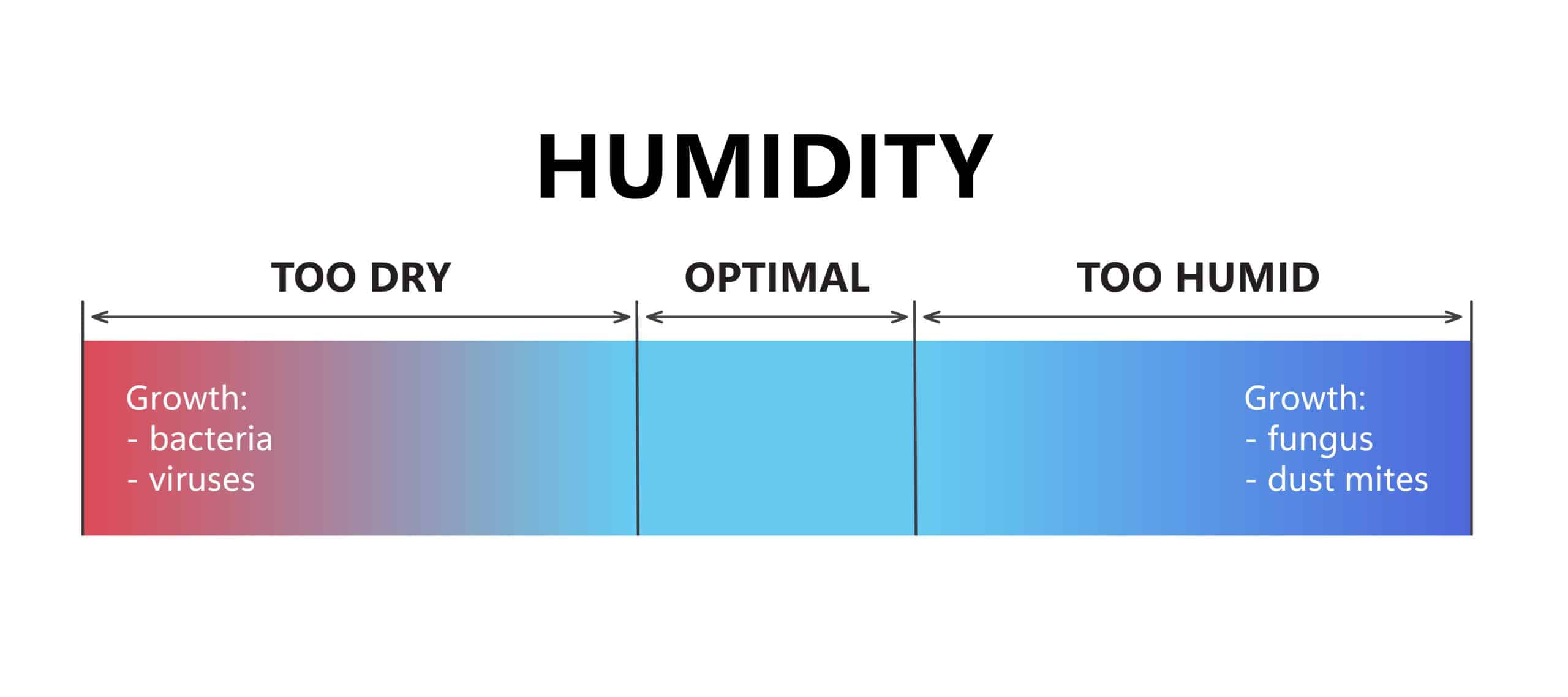 Dryer Vent Maintenance in Humid Climates