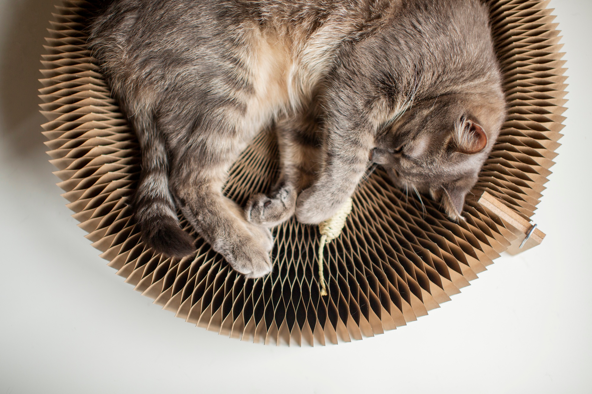 Pet Hair Ventilation Cleaning